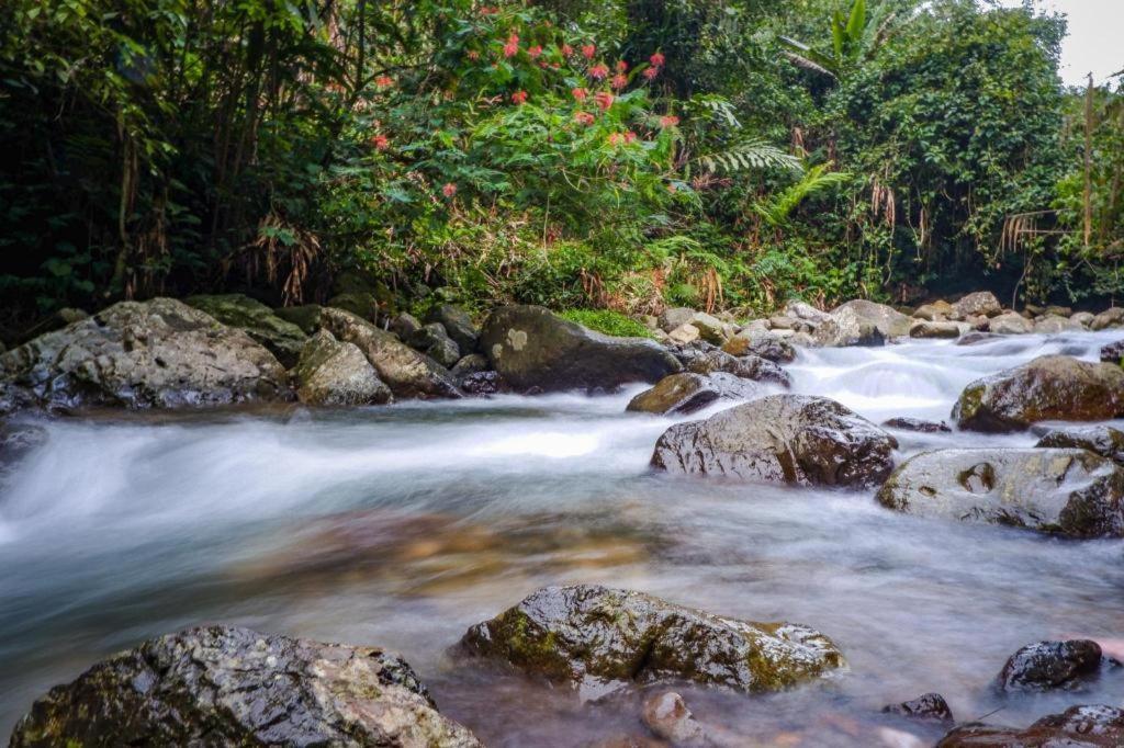 Arimbi Cibulan Suites Cisarua Bagian luar foto
